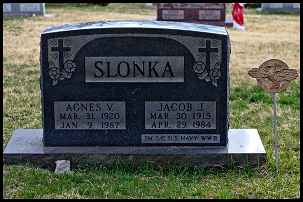 Jacob & Agnes Slonka